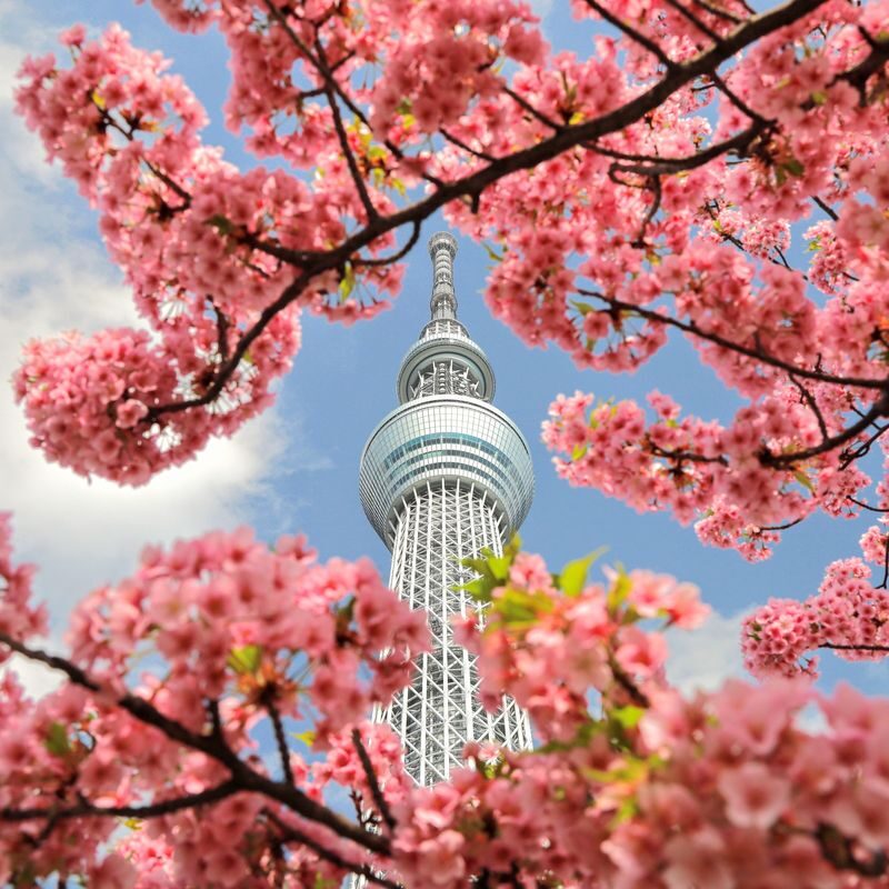 Tokyo Amazing Sightseeing Bus Day Tour by Professional guide - Starting at the LOVE statue in Shinjuku