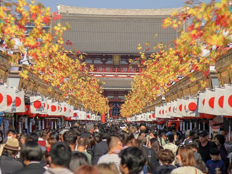 Tokyo Amazing Sightseeing Bus Day Tour by Professional guide - Asakusa, matcha, and time to find lunch