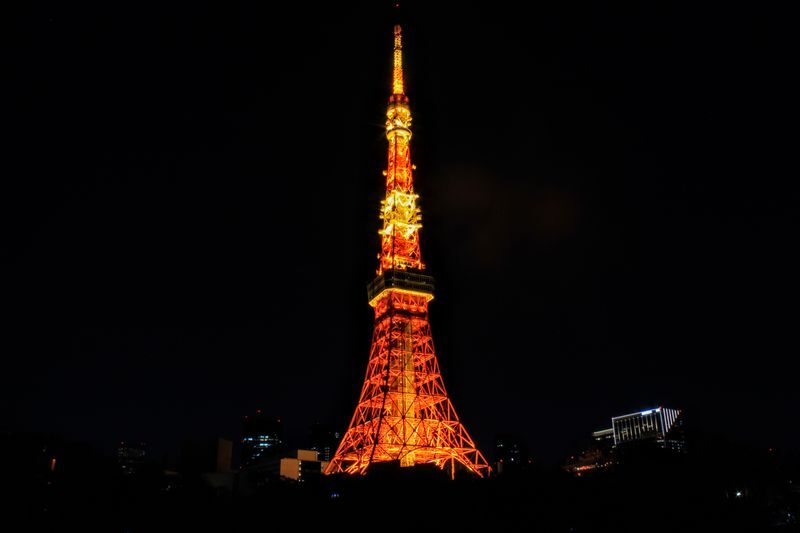 Tokyo Amazing Sightseeing Bus Day Tour by Professional guide - Tokyo Bay by boat, or a backup visit