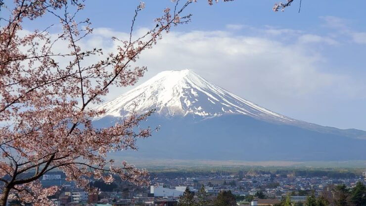 Tokyo and Mt. Fuji + Hakone 2-Days Private Tour - Good To Know