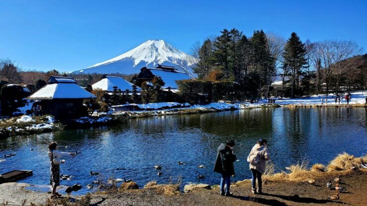 Tokyo and Mt. Fuji + Hakone 2-Days Private Tour - Pricing and Discounts