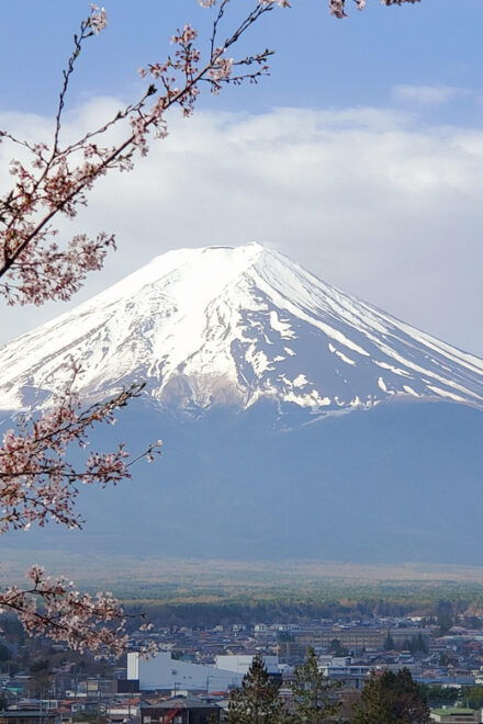 Tokyo and Mt. Fuji + Hakone 2-Days Private Tour - Pickup and Transportation