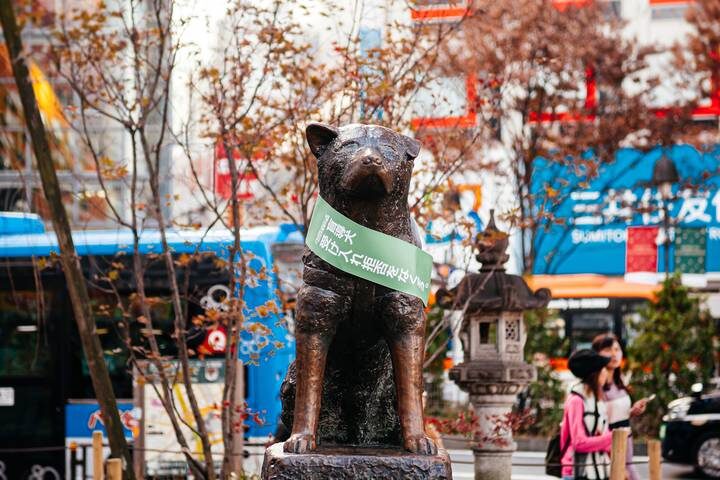 Tokyo Anime Adventure - 7 days by On The Go Tours - Should you book the Tokyo Anime Adventure?