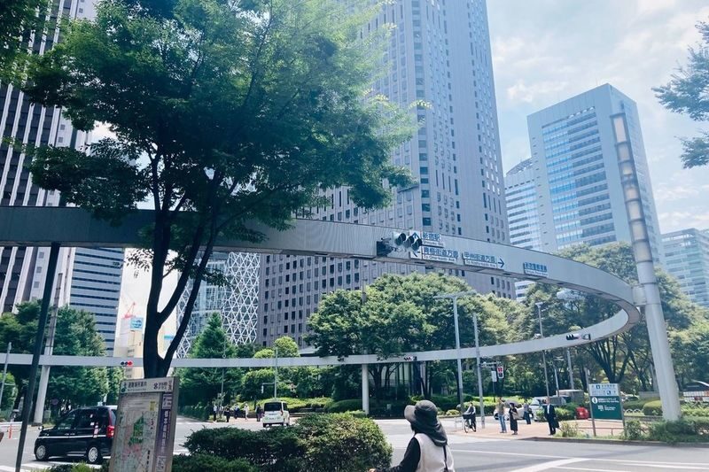 Tokyo Anime Pilgrimage 2-Hour Private Tour - Reading Shinkai’s Tokyo at street level