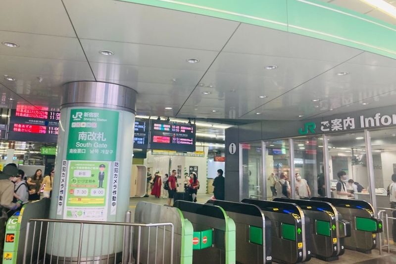 Tokyo Anime Pilgrimage 2-Hour Private Tour - Should you book this Shinkai walk?