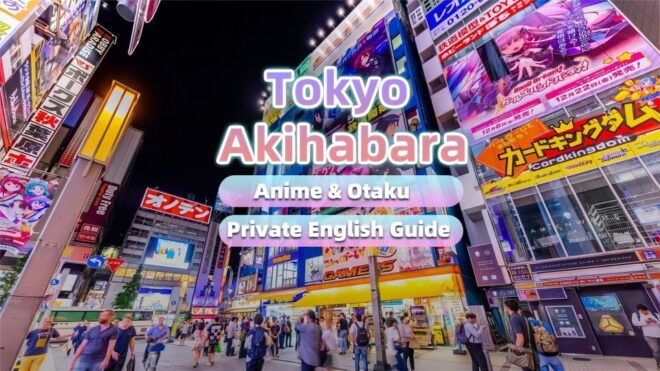 Tokyo: Anime&Otaku Private Tour With Expert English Guide - Additional Information for the Tokyo Anime&Otaku Private Tour
