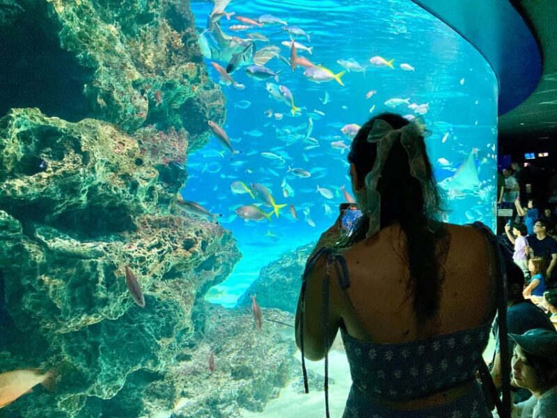 Tokyo : Aquarium Backyard Tour and Tokyo View Observatory - Good To Know