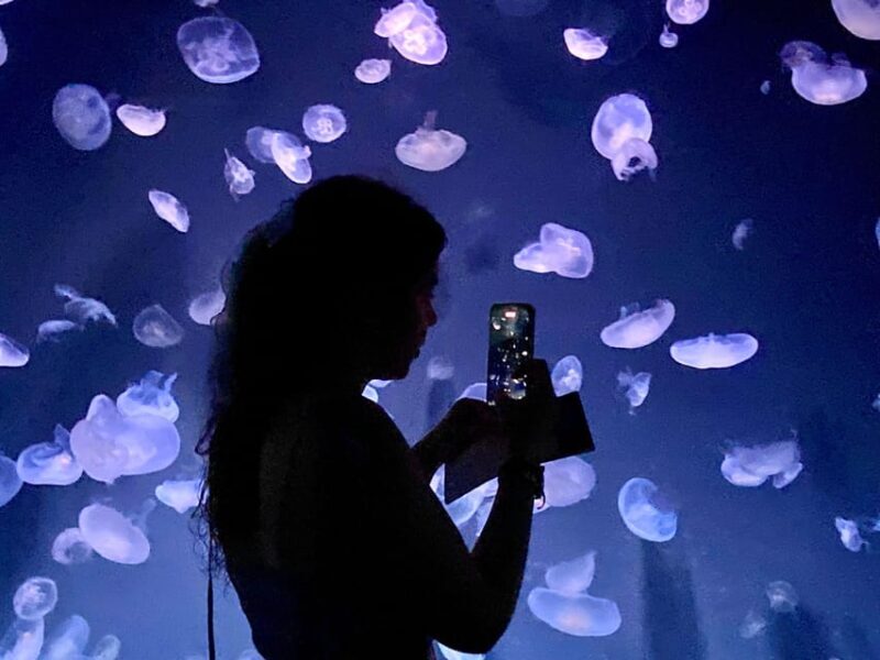 Tokyo : Aquarium Backyard Tour and Tokyo View Observatory - Deep Dive: Why This Tour Works and What Could Be Better