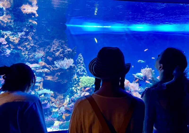 Tokyo : Aquarium Backyard Tour and Tokyo View Observatory - What this Tour Offers