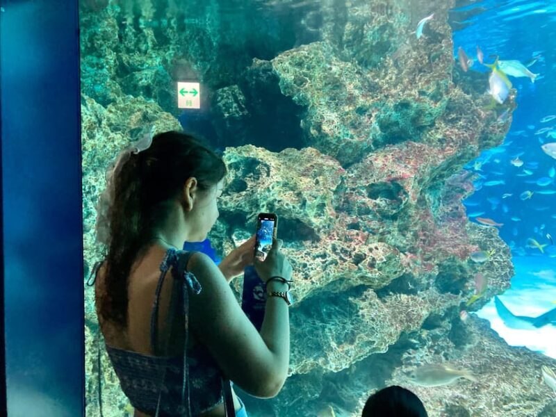 Tokyo : Aquarium Backyard Tour and Tokyo View Observatory - Who Should Consider This Tour?