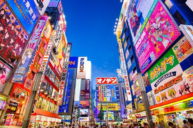 Tokyo Arrival Private Transfers From Tokyo-Narita Airport NRT to Tokyo City - What to Expect