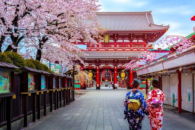 Tokyo Arrival Private Transfers From Tokyo-Narita Airport NRT to Tokyo City - Cancellation Policy