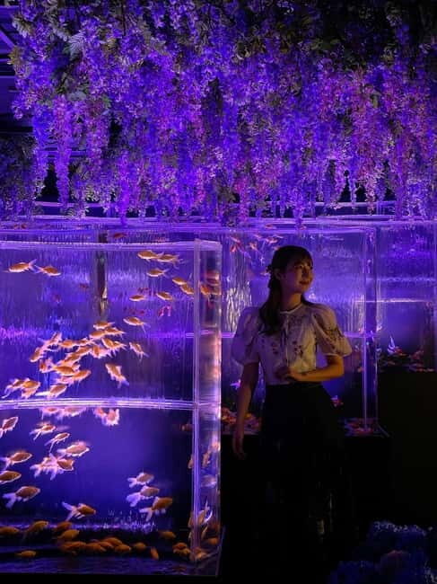 Tokyo: Art Aquarium Museum GINZA Entry Ticket - Guided Aspects and Visitor Tips