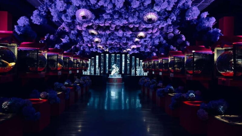 Tokyo: Art Aquarium Museum GINZA Entry Ticket - Authentic Insights from Visitors