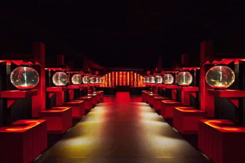 Tokyo: Art Aquarium Museum GINZA Entry Ticket - Frequently Asked Questions (FAQs)