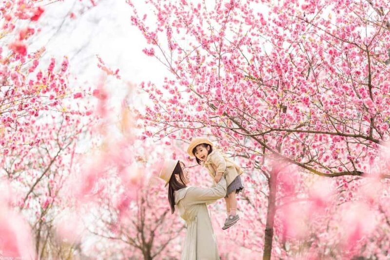 Tokyo asakusa An Immersive 3-Hour Kimono Photoshoot - Good To Know