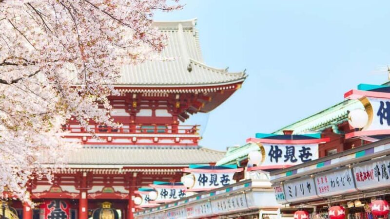 Tokyo: Asakusa Food & Culture Tour with Skytree & Sushi Make - Good To Know