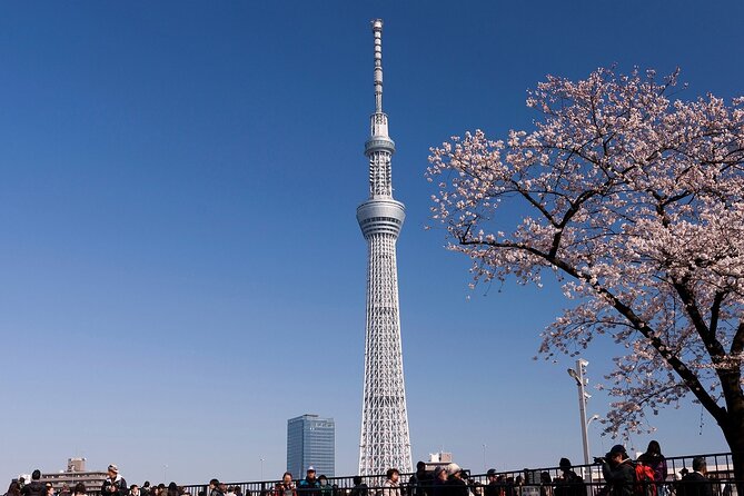 Tokyo Asakusa Half Day Walking Tour With Local Guide - Additional Info