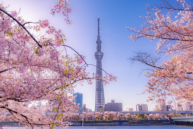 Tokyo Asakusa Half Day Walking Tour With Local Guide - Traveler Tips and Reviews