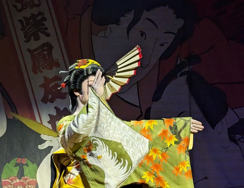 Tokyo Asakusa: Japanese Cabaret Show (Taishu Engeki) - How much the English introduction adds