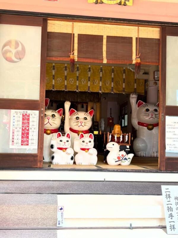 Tokyo: Asakusa Notebook-Making Workshop and Bike Tour - FAQs