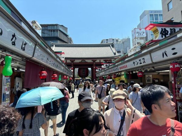 Tokyo: Asakusa Private Tour With Street Food Tasting - Pricing and Booking Options