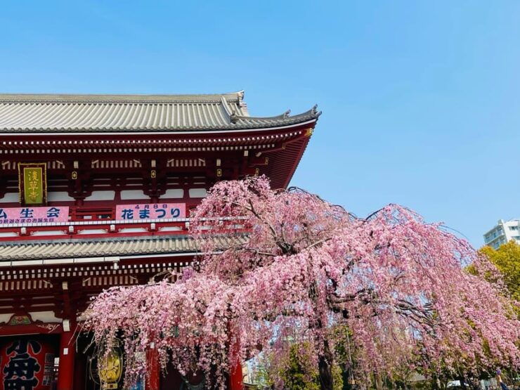 Tokyo: Asakusa Senso-ji Temple Private Walking Tour - Good To Know