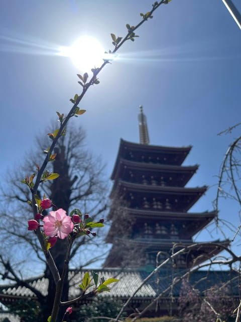 Tokyo: Asakusa Senso-ji Temple Private Walking Tour - Itinerary Highlights