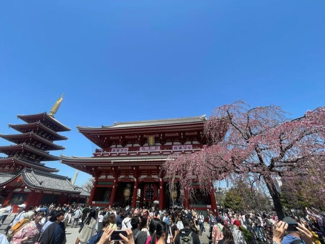 Tokyo: Asakusa Senso-ji Temple Private Walking Tour - Cultural Experience