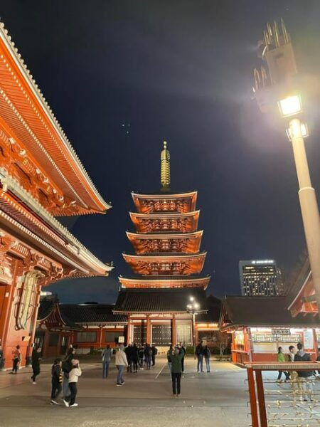 Tokyo: Asakusa Senso-ji Temple Private Walking Tour - Accessibility Information