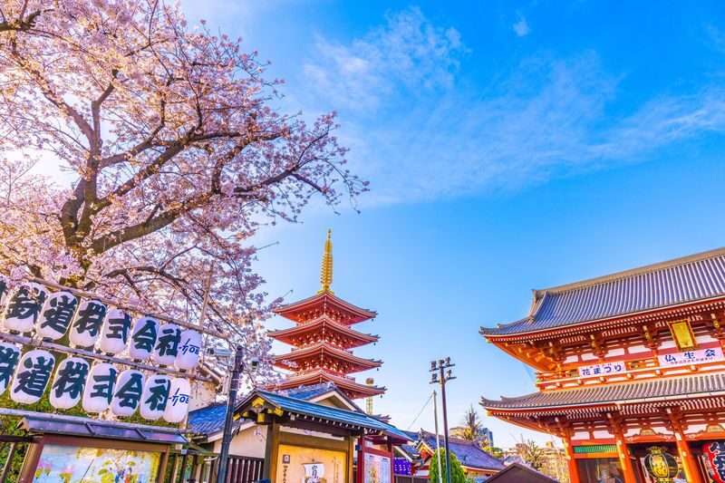 Tokyo: Asakusa & Sensoji ー Oldest Temple Walking Tour (2hrs) - Knives, samurai goods, and small shops