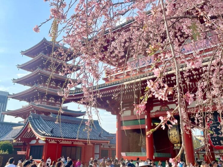 Tokyo : Asakusa Sensoji Temple Walking Tour Experience - Itinerary and Highlights