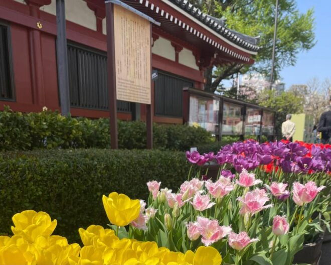 Tokyo : Asakusa Sensoji Temple Walking Tour Experience - Cancellation and Refund Policy