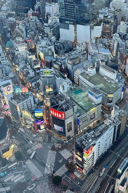Tokyo: Asakusa & Shibuya Sky Half-day Tour Metro Experience - Shopping Opportunities