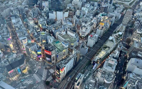 Tokyo: Asakusa & Shibuya Sky Half-day Tour Metro Experience - Tips for a Great Experience