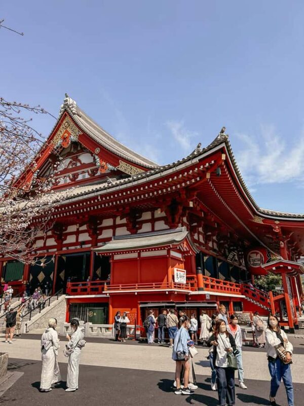 Tokyo: Asakusa, Yanaka, and a tour away from the tourist crowds. - A Deep Dive into the Tour Experience