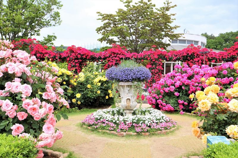 Tokyo Ashikaga Flower Park Full-Day Private Tour - The private car makes the route practical