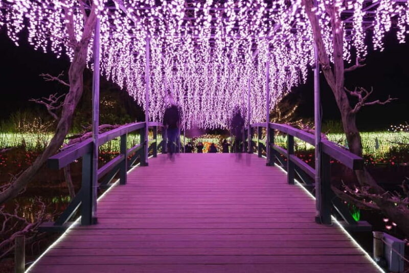 Tokyo: Ashikaga Flower Park with Entry Ticket - The Sum Up