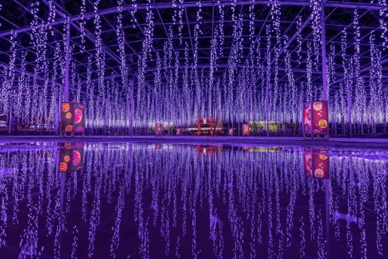 Tokyo: Ashikaga Flower Park with Entry Ticket - FAQ