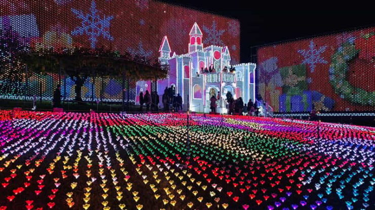Tokyo: Ashikaga Flower Park With Entry Ticket - Good To Know