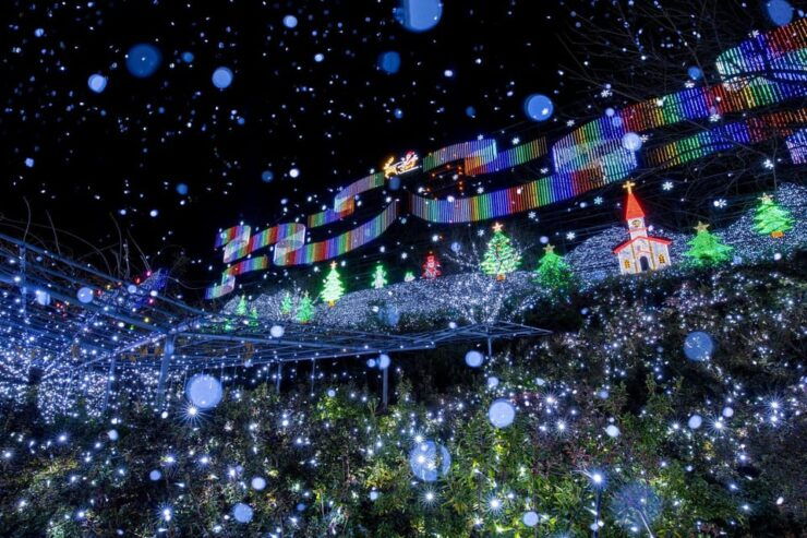 Tokyo: Ashikaga Flower Park With Entry Ticket - Ticket Pricing and Cancellation