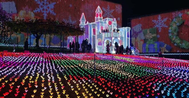 Tokyo: Ashikaga Flower Park With Entry Ticket - Seasonal Highlights and Events