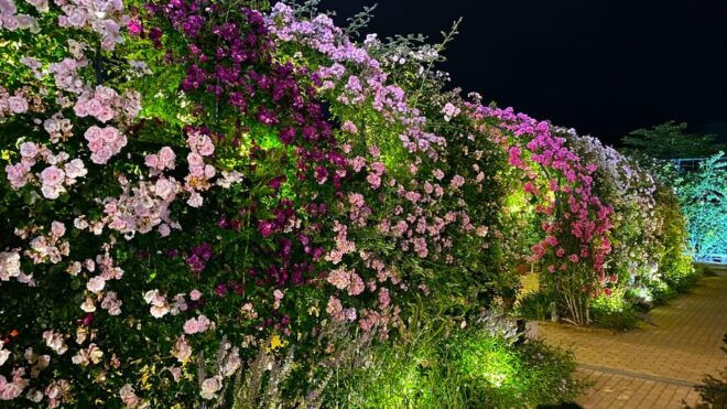 Tokyo: Ashikaga Flower Park With Entry Ticket - Whats Included in Your Ticket