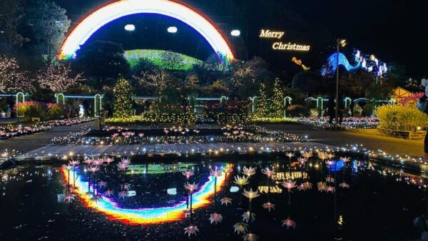Tokyo: Ashikaga Flower Park With Entry Ticket - How to Book Your Visit