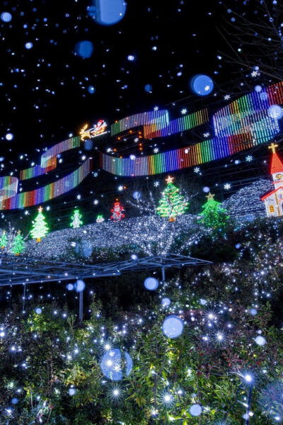 Tokyo: Ashikaga Flower Park With Entry Ticket - Transportation Options Available