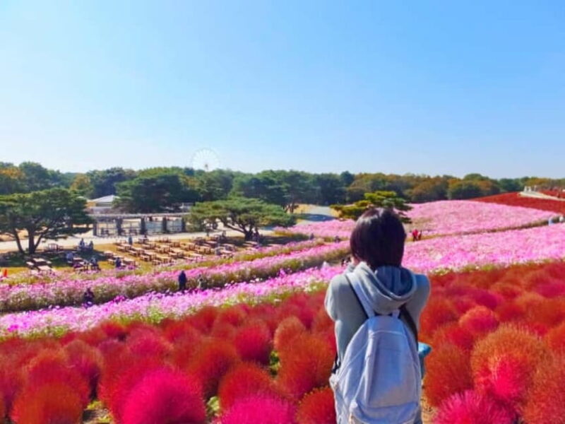 Tokyo: Autumn Hitachi Seaside Park, Fukuroda Falls & Ryujin - Good To Know