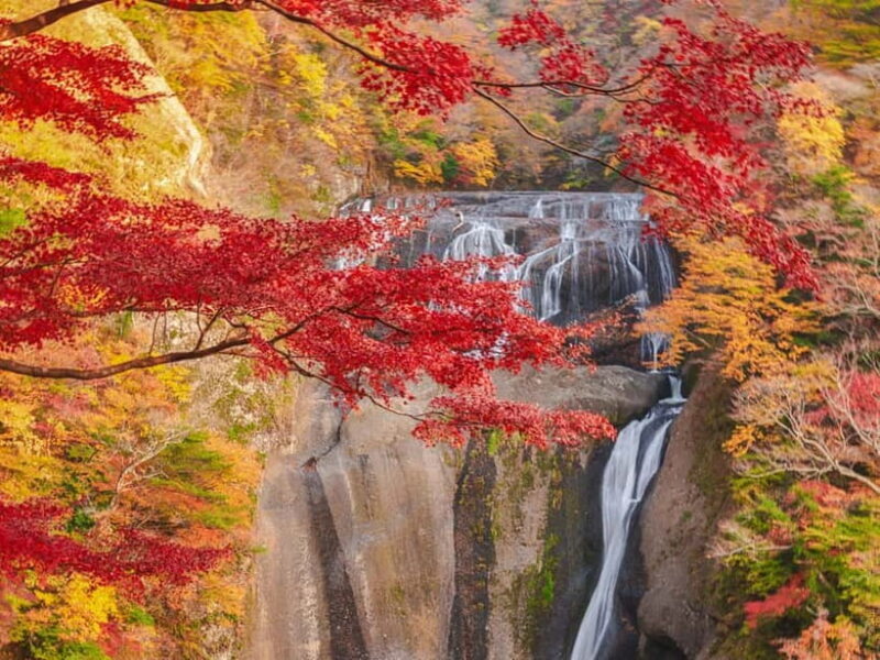 Tokyo: Autumn Hitachi Seaside Park, Fukuroda Falls & Ryujin - A Closer Look at the Itinerary