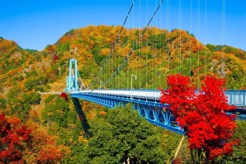 Tokyo: Autumn Hitachi Seaside Park, Fukuroda Falls & Ryujin - Good To Know