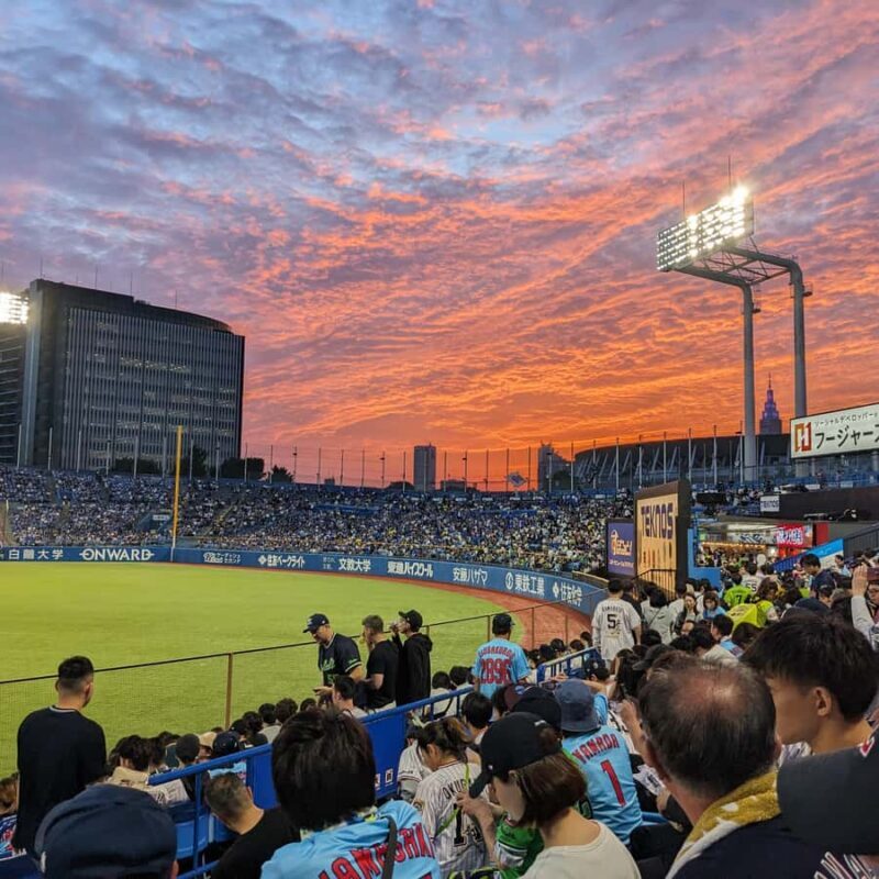 Tokyo: Baseball Game Experience with Local Guide & Snacks - Good To Know