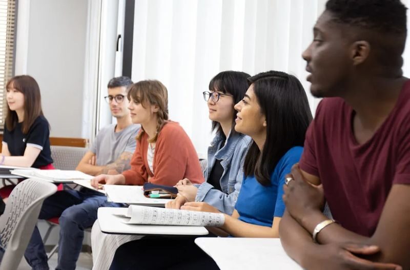 Tokyo: Basic Japanese Language and Etiquettes Class - Ask the questions that matter to your trip